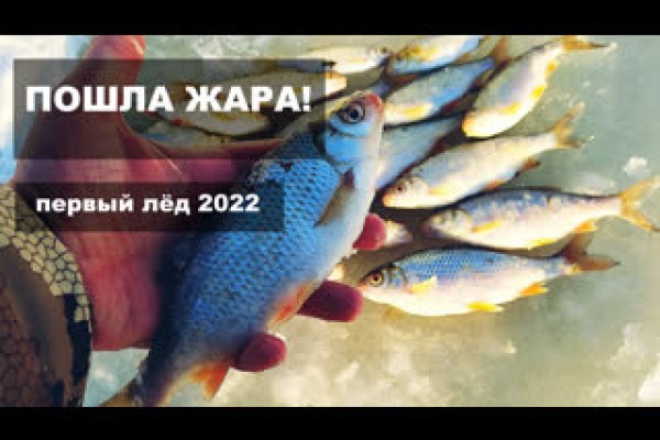 Тор браузер кракен