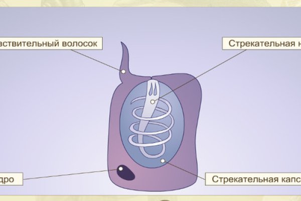Кракен дарк ссылка