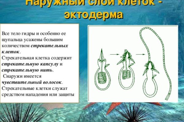 Кракен 22