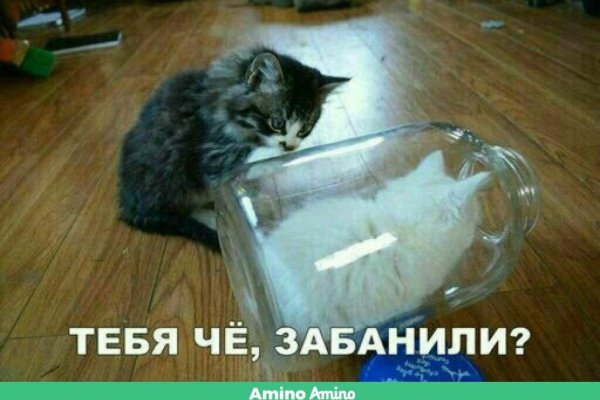 Кракен даркнет зеркало