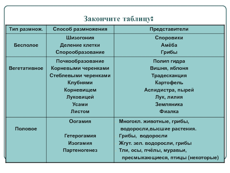 Кракен топ