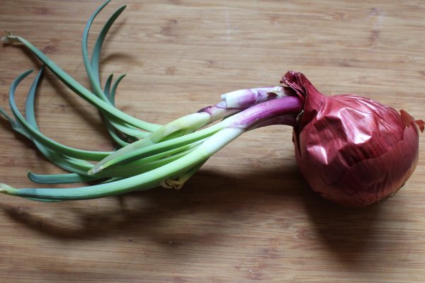 Kraken tor onion зеркало