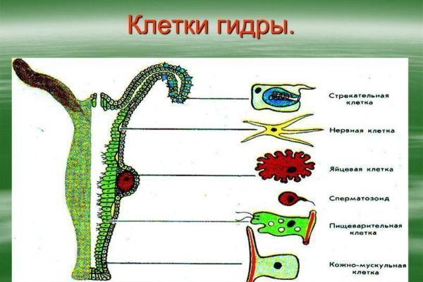 Kra40.cc
