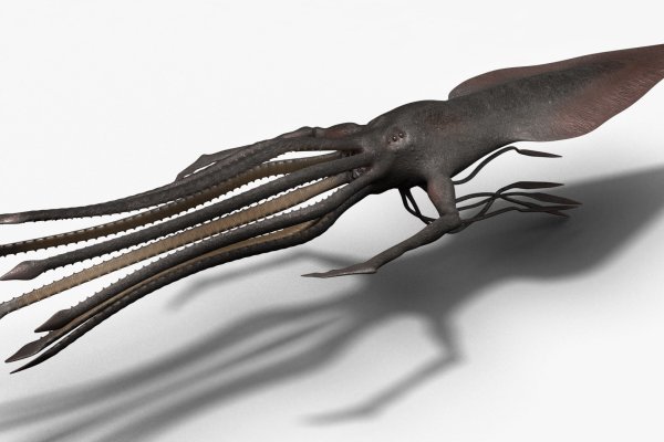 Kraken17 at