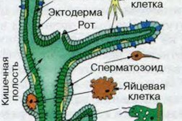 Kraken зеркало стор